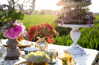 Mark Williamson hospitality portfolio